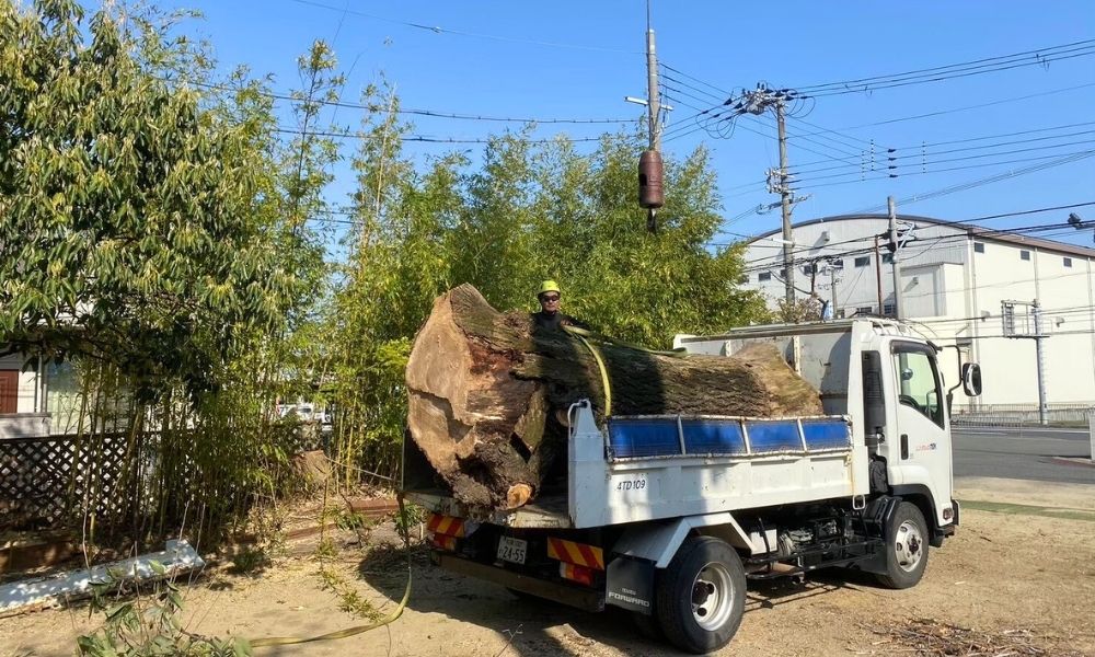 大木の幹を乗せたダンプカーの写真