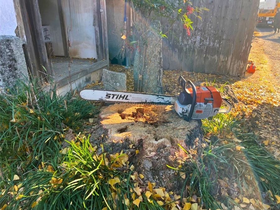 伐採後の根の上に置かれたチェーンソーの写真