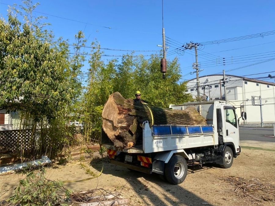 ダンプの荷台に乗っている伐採された大木の写真